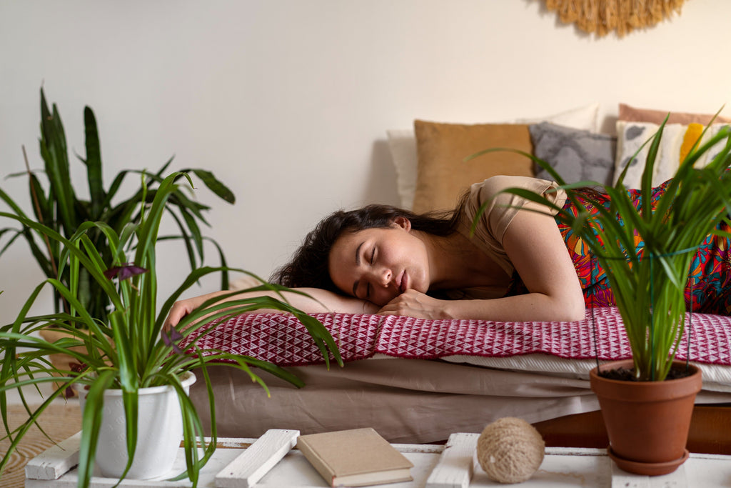 Sleep Greens: The Power of Plants for a Restful Night's Sleep