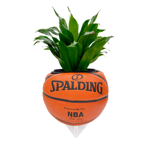 Spalding NBA Edition Basketball Planter