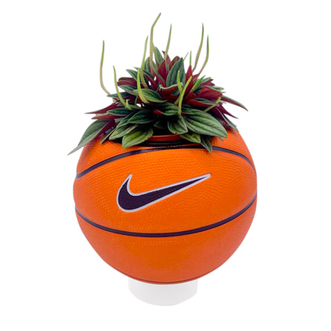 Nike Mini Basketball Planter