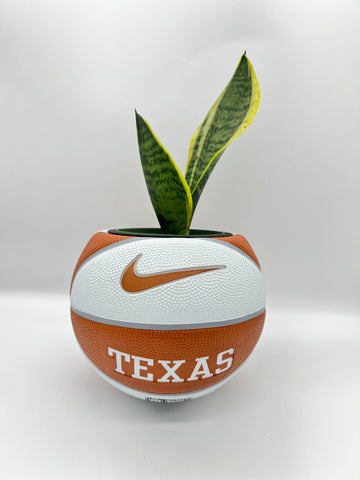 Texas Nike Basketball Planter