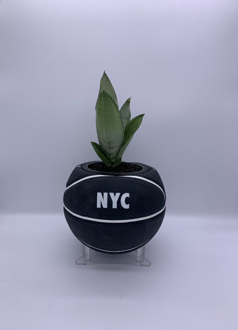 New York Nike Mini Basketball Planter