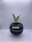 Miami Nike Mini Basketball Planter