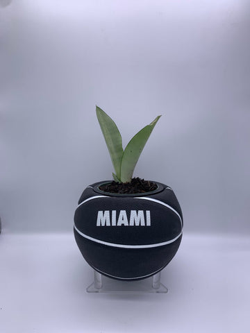 Miami Nike Mini Basketball Planter